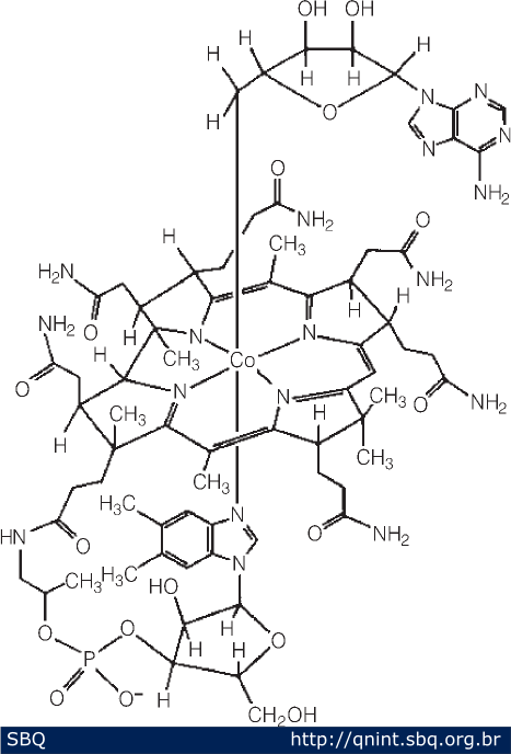 Figura 5: Estrutura esquem&aacute;tica da vitamina B12. O Co(III) est&aacute; unido equatorialmente a um anel macroc&iacute;clico chamado corrina , uma das posi&ccedil;&otilde;es axiais est&aacute; ocupada pelo grupo 5&rsquo;-desoxiadenosil, que gera uma uni&atilde;o Co-C, e a outra posi&ccedil;&atilde;o axial envolve uma base org&acirc;nica (liga&ccedil;&atilde;o Co-N). 
