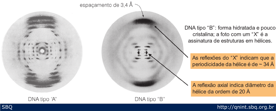Figura 10: Duas fotos de difração de raios-X obtidas por Rosalind ranklin e Maurice Wilkins do DNA desidratado (A) e hidratado (B). O exame da foto de difração do DNA B permitiu a Watson e Crick concluírem diversas características da hélice. 