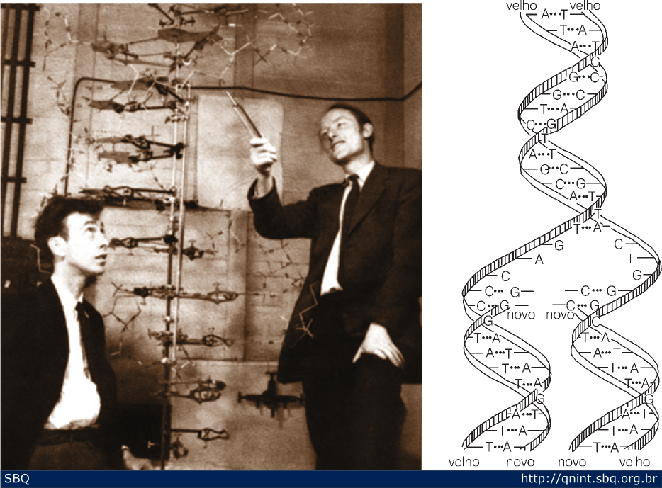 Visualiza&ccedil;&atilde;o