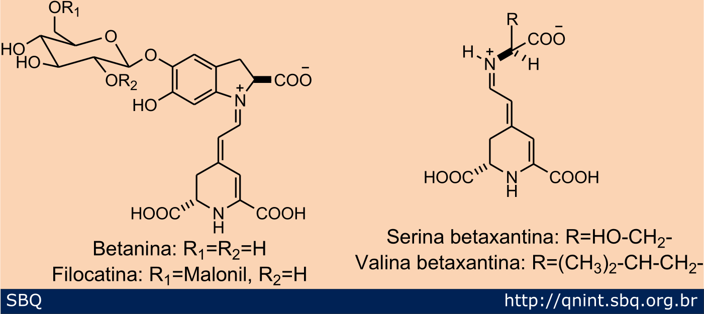 Betaxantinas
