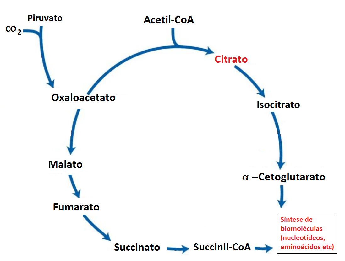 imagem7400.png