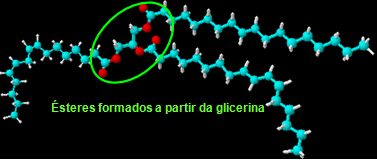 Ésteres formados a partir da glicerina