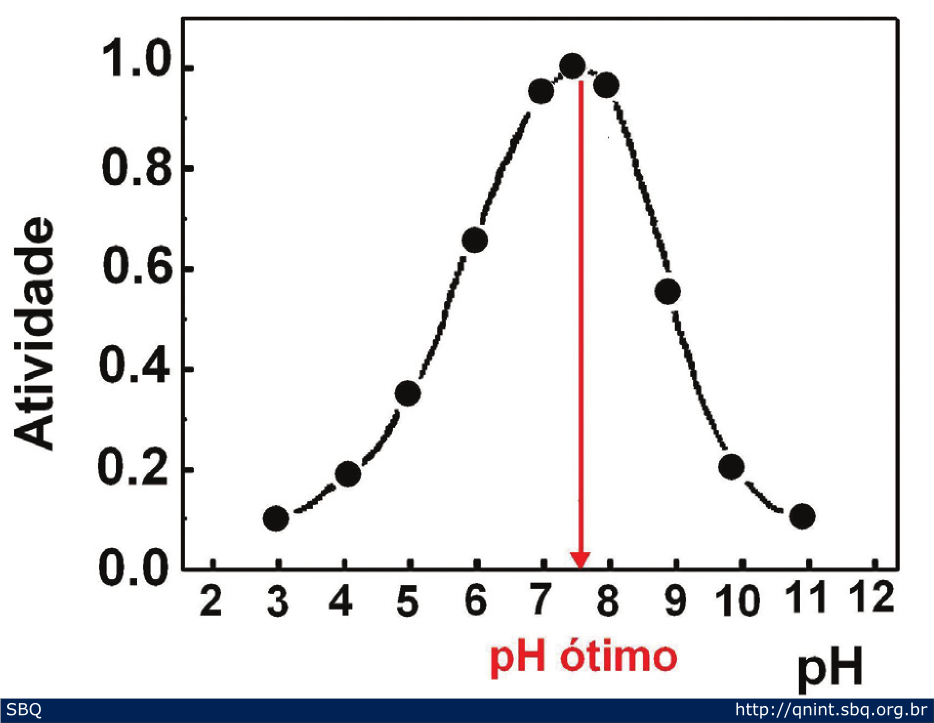Figura 3: Curva do efeito do pH na atividade enzimática. 