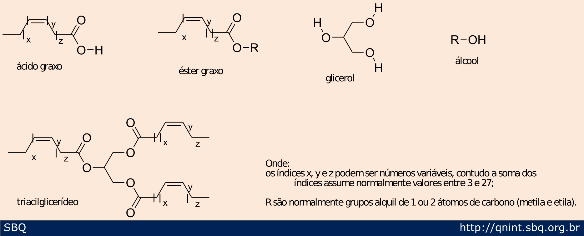 Figura 1. Espécies químicas mais importantes que podem ser encontradas em processos de produção de biodiesel 