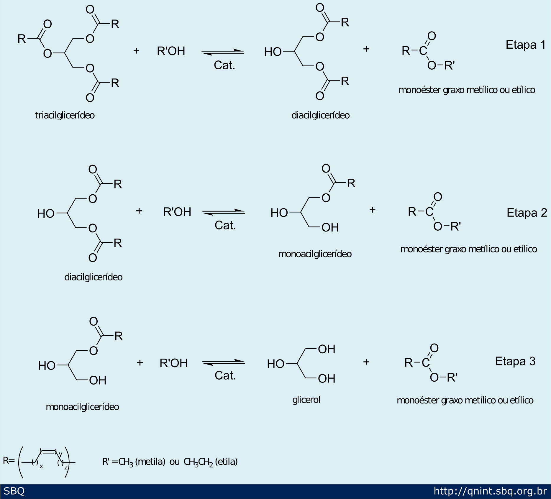 Esquema 6. Etapas reacionais envolvidas na transesterificação de tri-acilglicerídeos 