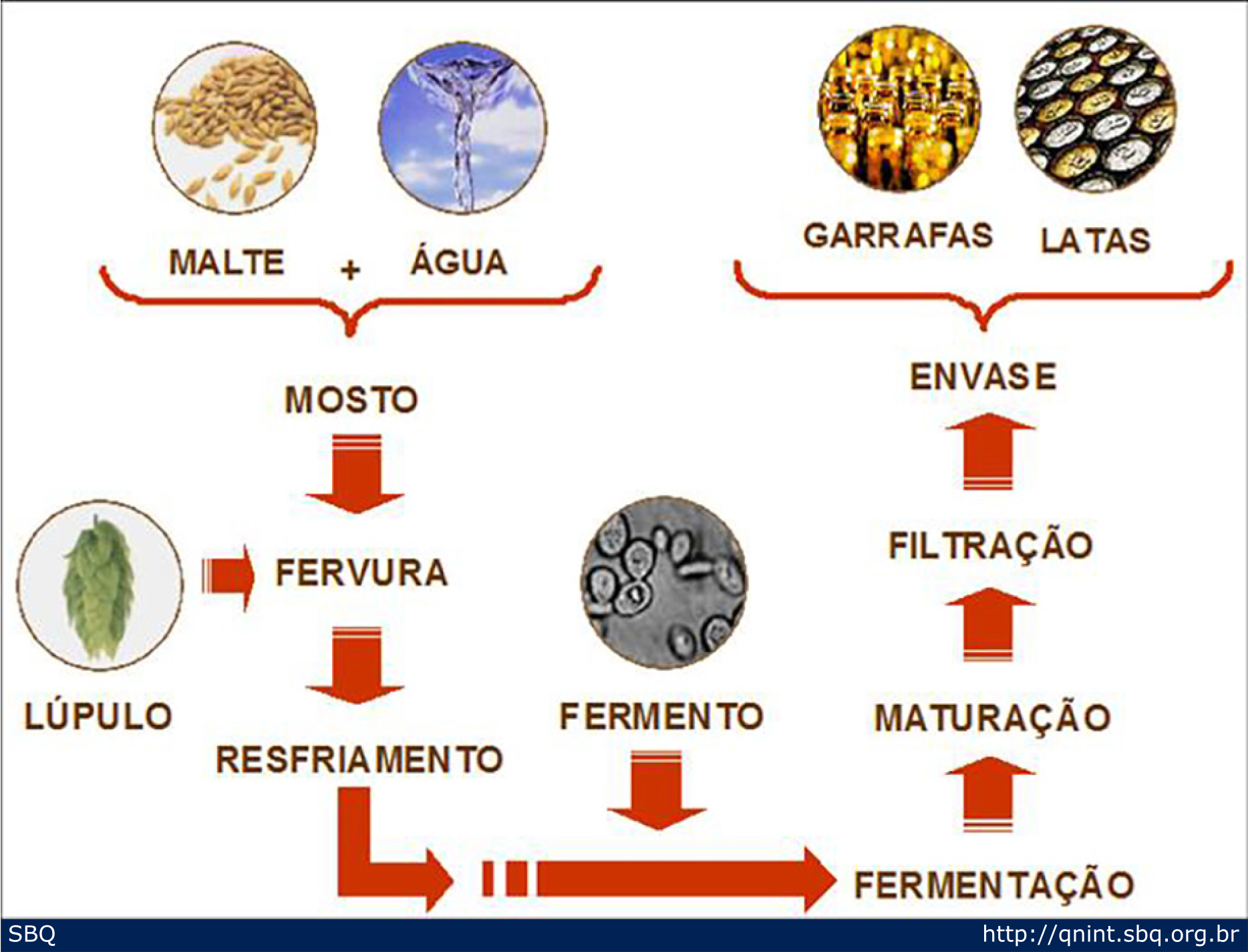 Processo De Fermentacao De Levedura A Importância Da Fermentação Na